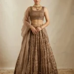 Brown Color Sequins With Jari Embroidery Work Partywear Net Lehenga Choli