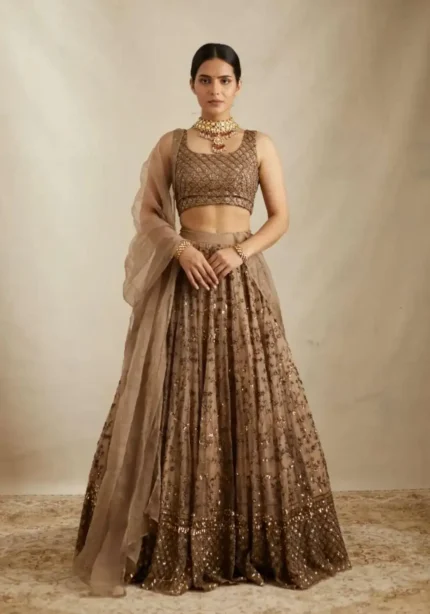 Brown Color Sequins With Jari Embroidery Work Partywear Net Lehenga Choli