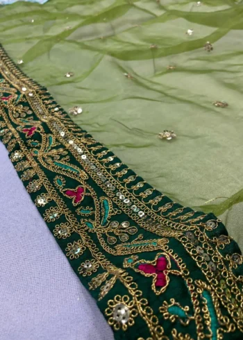 Green Heavy Lace Embroidery Work Organza Party Wear Saree