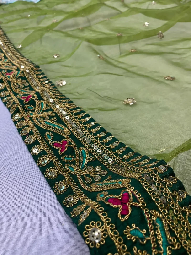 Green Heavy Lace Embroidery Work Organza Party Wear Saree
