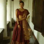 Zari Weaving Work South Indian Narayan Pet Lehenga
