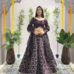 Heavy Embroidery Zari Sequence Coding Lace Work Garlish Jimmy Choo Lehenga