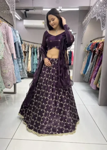 Heavy Embroidery Zari Sequence Coding Lace Work Garlish Jimmy Choo Lehenga