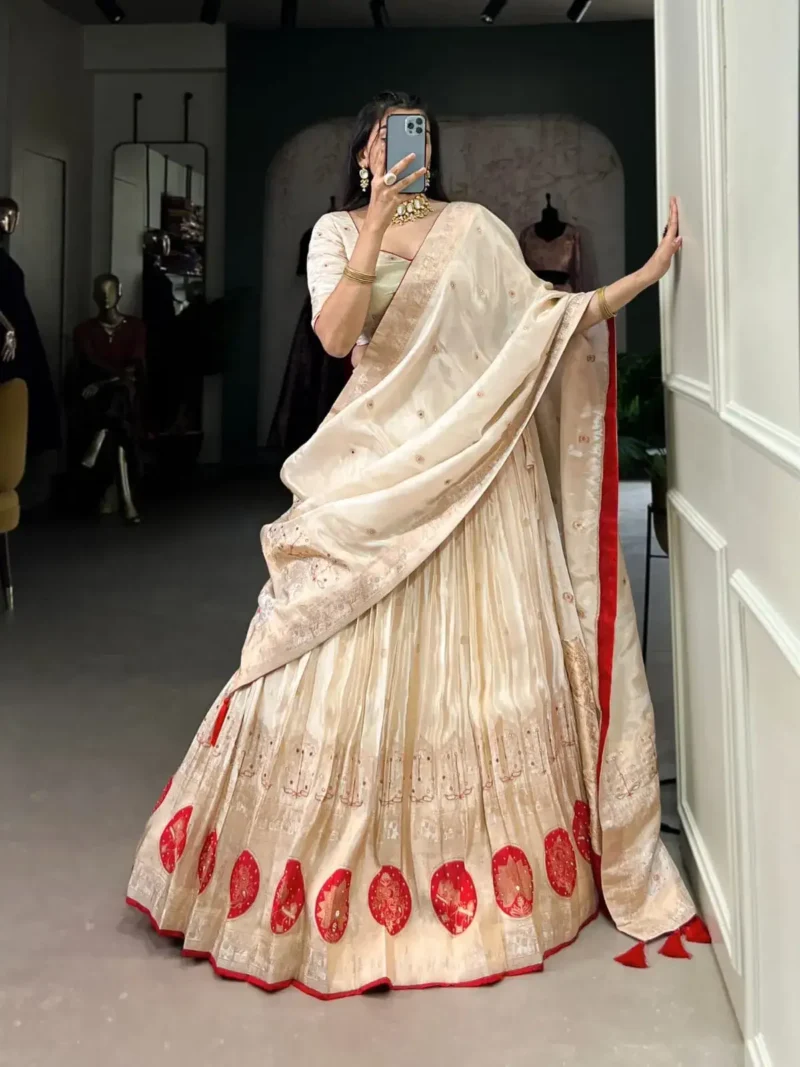 Pure Shimmer Mirror and Beads Moti Hand Work Lehenga Choli