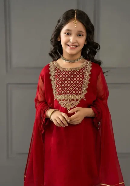 Red Fox Georgette Sequins Embroidered Salwar Suit for Kids Girl