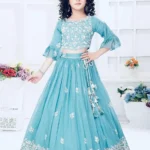Sky Blue Embroidery Work Lehenga Choli for Kids