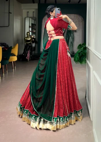 Cornell Red Bandhej Foil Print Navratri Lehenga back side look
