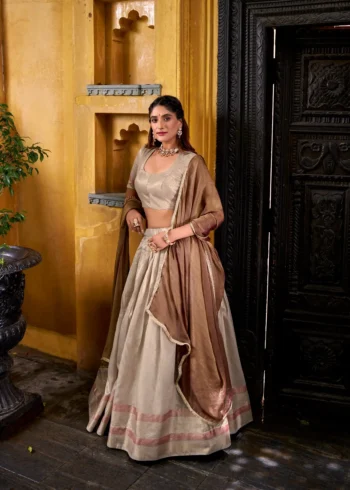 Grey Colour Dupion Silk Half Saree Lehenga side look