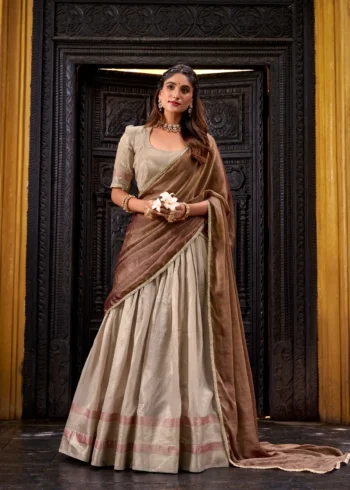 Grey Colour Dupion Silk Half Saree Lehenga front look