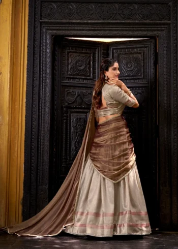 Grey Colour Dupion Silk Half Saree Lehenga back view