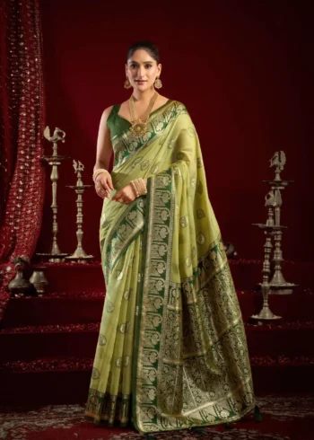 Pista Colour Fancy Modal Banarasi Silk Saree full front look