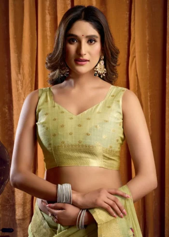 Pista Colour Katha Work Modal Saree close blouse look