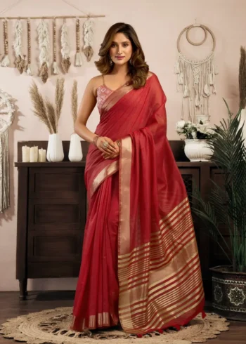 Red Colour Khadi Cotton Saree with Brocade Blouse front look