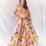 Multicolour Printed Organza Party Lehenga full