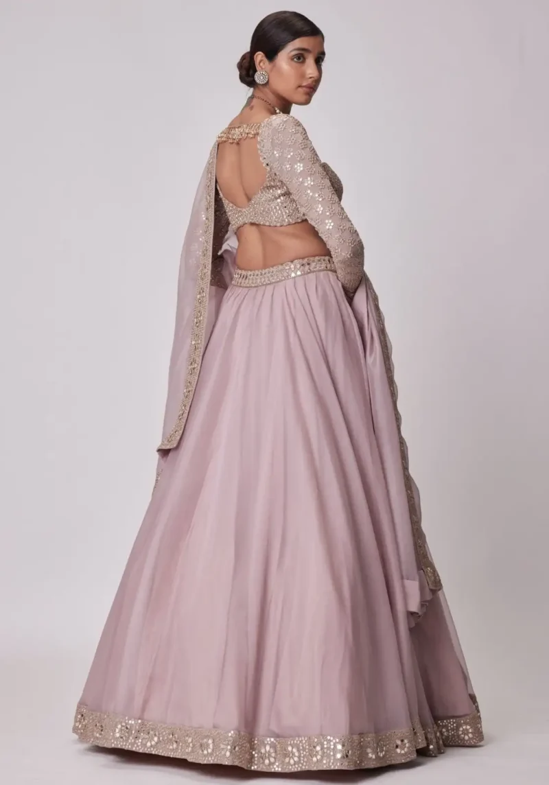 Ash Pink Organza Silk Sequin Embroidered Wedding Lehenga Choli back design