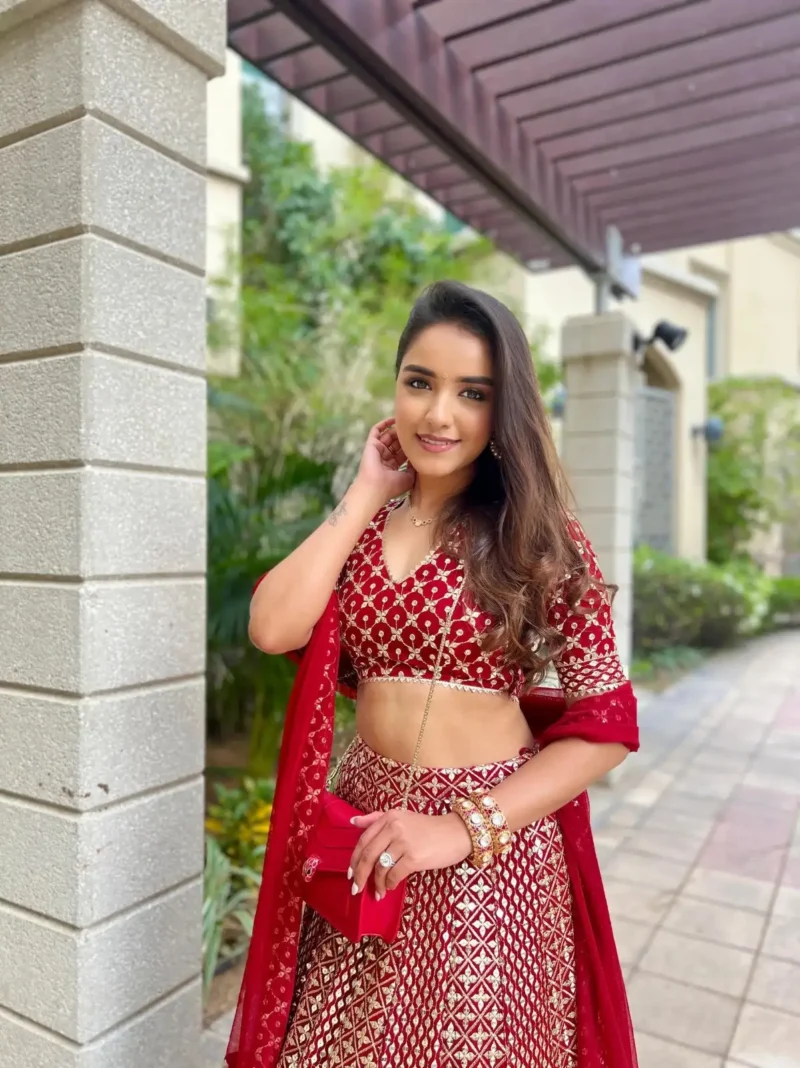 Red Zari Sequin Embroidered Designer Lehenga Choli Set close look